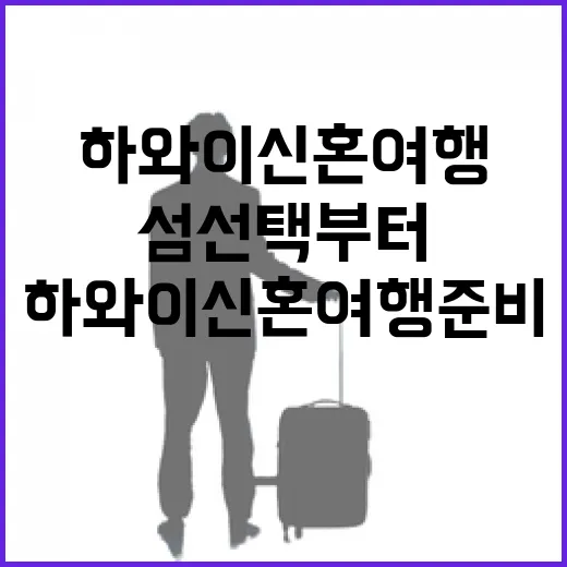 하와이신혼여행 준비하는 방법, 섬 선택부터 예산 감 잡기까지 - 요약