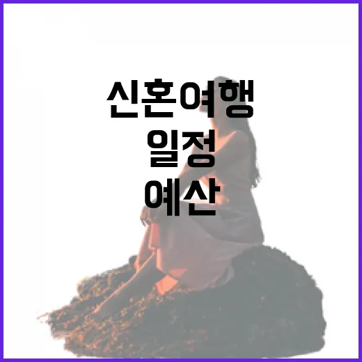 초보자를 위한 신혼여행 준비 방법, 예산부터 일정까지 이렇게 잡아보세요 - 요약