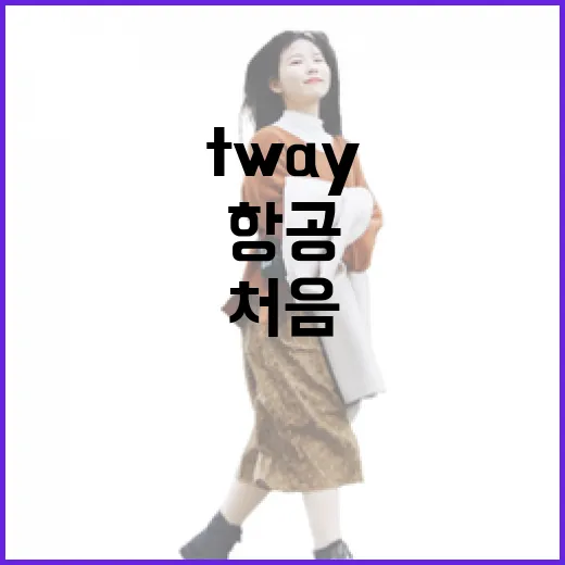TWAY항공 처음 이용할 때 덜 헤매는 방법 - 요약