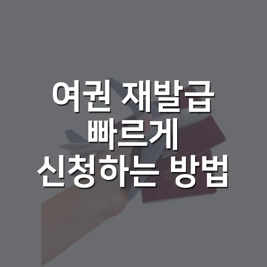 여권 재발급 빠르게 신청하는 방법, 온라인과 방문 중 뭐가 나을까 - 요약