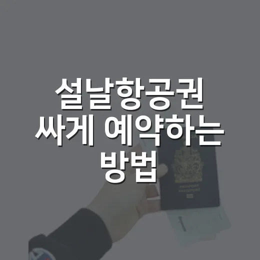 설날항공권 싸게 예약하는 방법, 초보자도 놓치지 않는 타이밍 - 요약