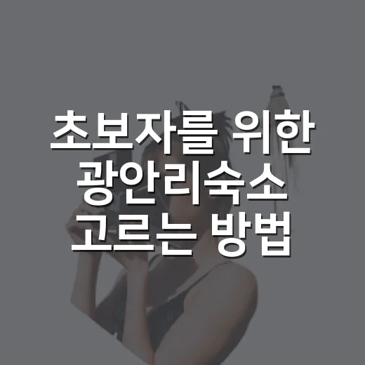 초보자를 위한 광안리숙소 고르는 방법, 위치부터 가격대까지 이렇게 보면 편해요 - 요약