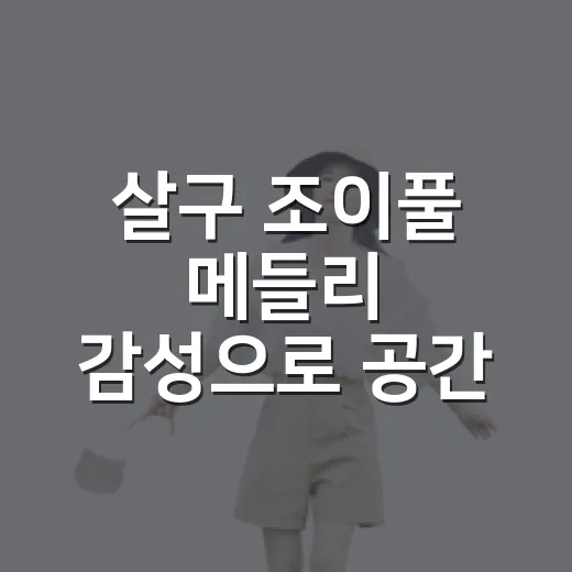 살구 조이풀 메들리 감성으로 공간 꾸미는 방법 - 요약