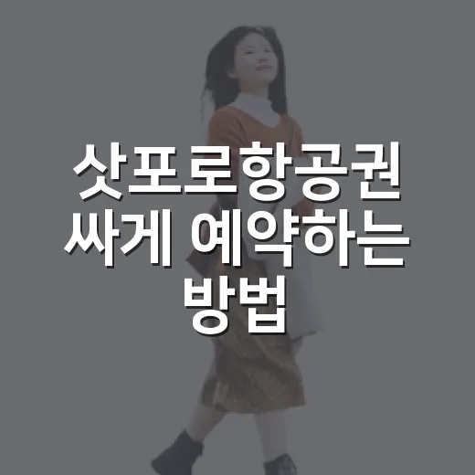 삿포로항공권 싸게 예약하는 방법, 초보자는 이렇게 비교하면 편해요 - 요약