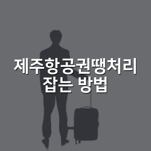 제주항공권땡처리 잡는 방법, 초보자도 놓치지 않게 보는 순서 - 요약