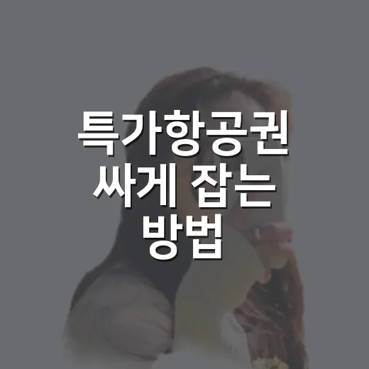 특가항공권 싸게 잡는 방법, 초보자도 놓치지 않는 예약 루틴 - 요약