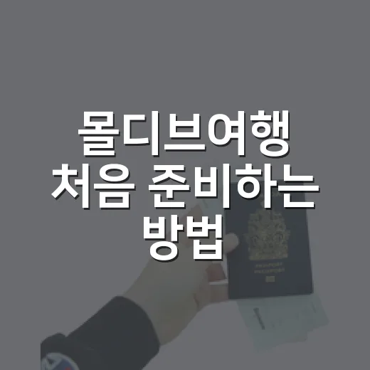 몰디브여행 처음 준비하는 방법, 리조트 선택부터 일정까지 이렇게 잡으면 편해요 - 요약