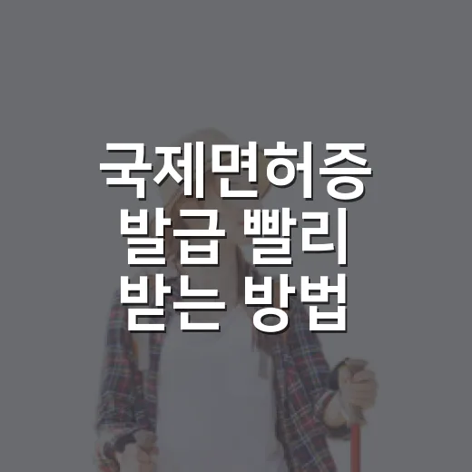 국제면허증 발급 빨리 받는 방법, 준비물부터 해외 운전 체크까지 - 요약