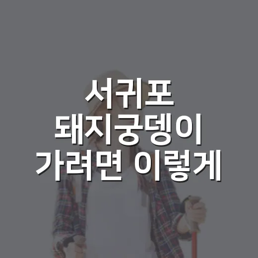 서귀포 돼지궁뎅이 가려면 이렇게 잡으면 편해요 - 요약