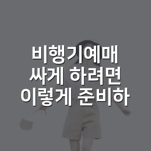 비행기예매 싸게 하려면 이렇게 준비하세요 - 요약