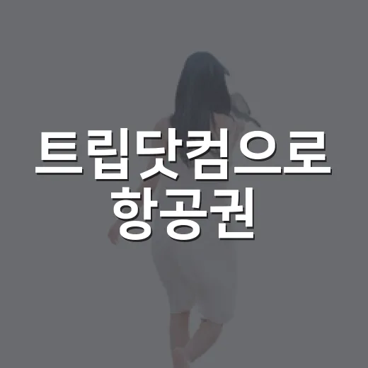 트립닷컴으로 항공권·호텔 예약할 때 덜 헤매는 방법 - 요약