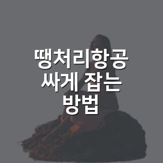 땡처리항공 싸게 잡는 방법, 초보자도 놓치지 않는 예약 요령 - 요약