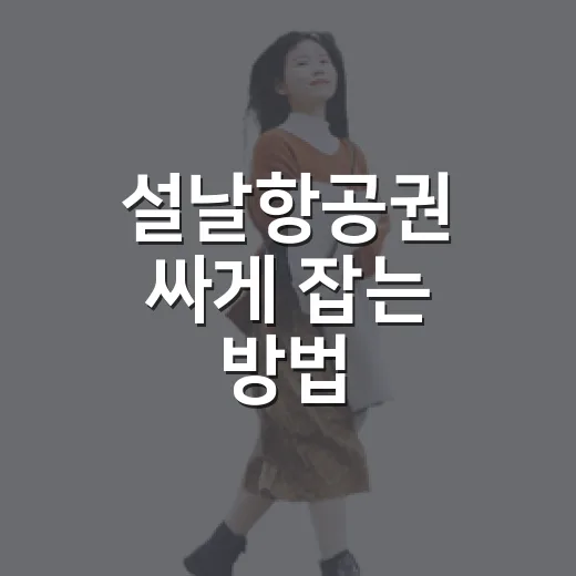 설날항공권 싸게 잡는 방법, 초보자도 놓치지 않는 예약 순서 - 요약