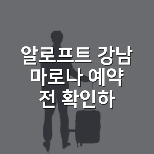 알로프트 강남 마로나 예약 전 확인하는 방법 - 요약