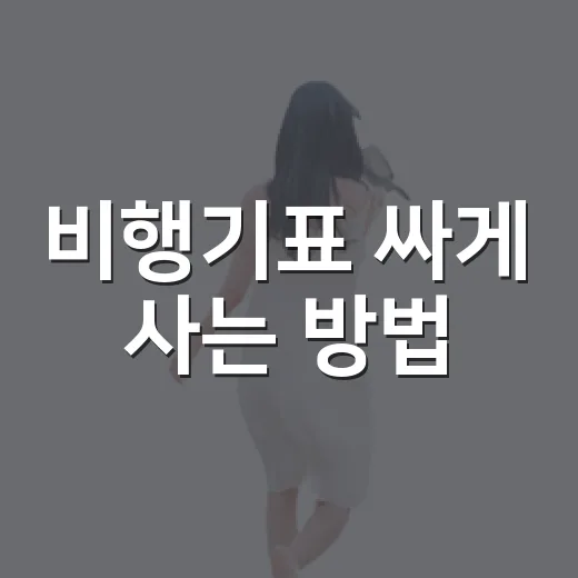 비행기표 싸게 사는 방법, 초보자도 바로 써먹는 예약 요령 - 요약