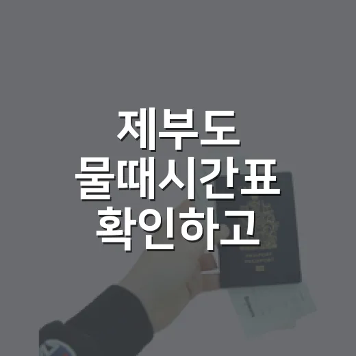 제부도 물때시간표 확인하고 헛걸음 줄이는 방법 - 요약