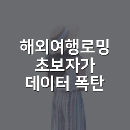 해외여행로밍 초보자가 데이터 폭탄 피하는 방법 - 요약