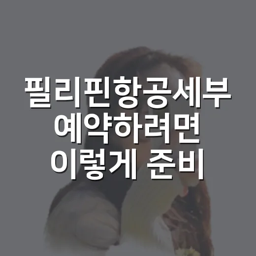 필리핀항공세부 예약하려면 이렇게 준비하면 덜 헤맵니다 - 요약