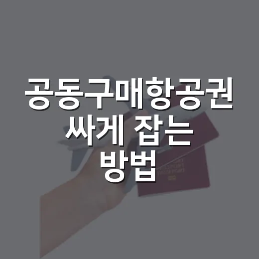 공동구매항공권 싸게 잡는 방법, 초보자는 이렇게 보면 편해요 - 요약