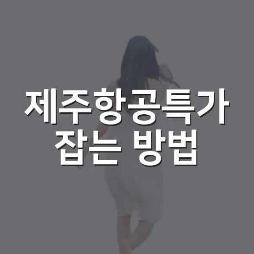 제주항공특가 잡는 방법, 초보자도 놓치지 않게 예약하려면 이렇게 - 요약