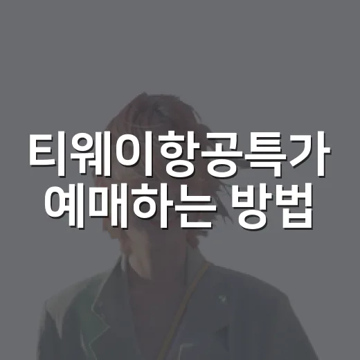 티웨이항공특가 예매하는 방법, 싸게 보려면 이렇게 움직이면 됩니다 - 요약