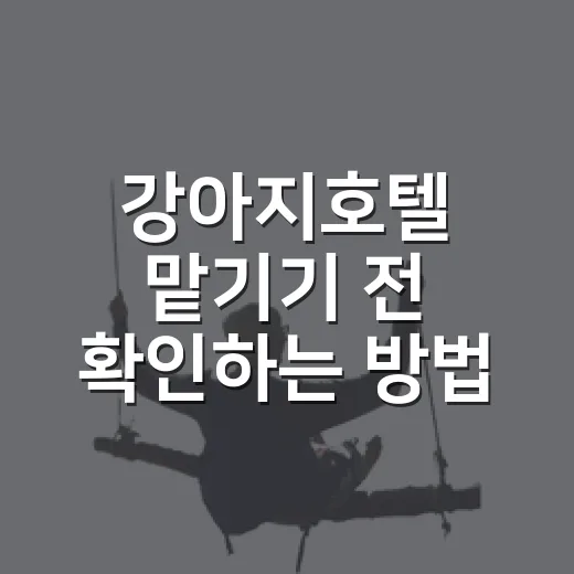 강아지호텔 맡기기 전 확인하는 방법, 초보 보호자도 덜 불안하게 준비하기 - 요약