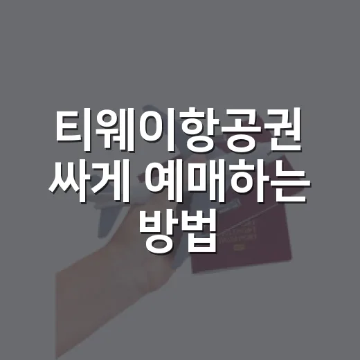티웨이항공권 싸게 예매하는 방법, 초보자도 놓치기 쉬운 체크포인트 - 요약