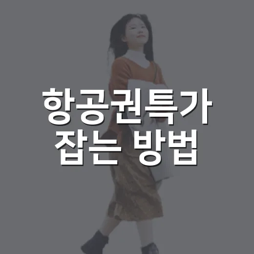 항공권특가 잡는 방법, 초보자도 실패 줄이려면 이렇게 - 요약