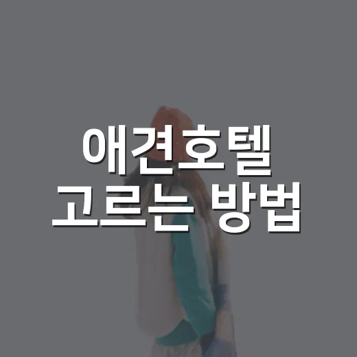 애견호텔 고르는 방법, 맡기기 전에 꼭 확인할 7가지 - 요약