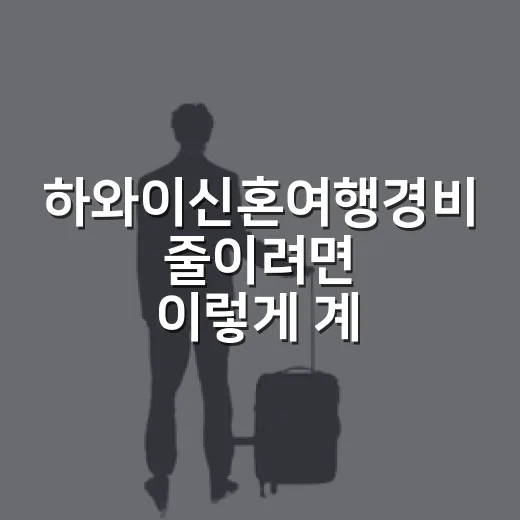 하와이신혼여행경비 줄이려면 이렇게 계산하는 방법 - 요약