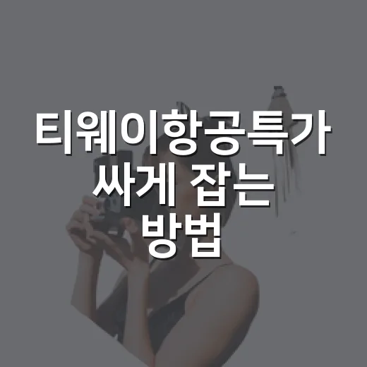 티웨이항공특가 싸게 잡는 방법, 쿠폰부터 날짜 선택까지 이렇게 하면 덜 헤맵니다 - 요약