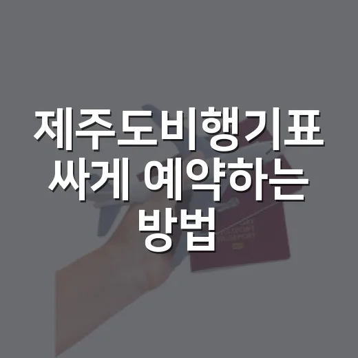제주도비행기표 싸게 예약하는 방법, 초보자도 덜 헤매려면 이렇게 - 요약
