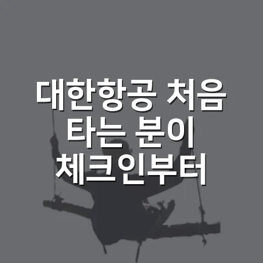 대한항공 처음 타는 분이 체크인부터 수하물까지 챙기는 방법 - 요약