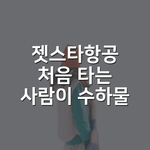 젯스타항공 처음 타는 사람이 수하물·체크인 실수 줄이는 방법 - 요약
