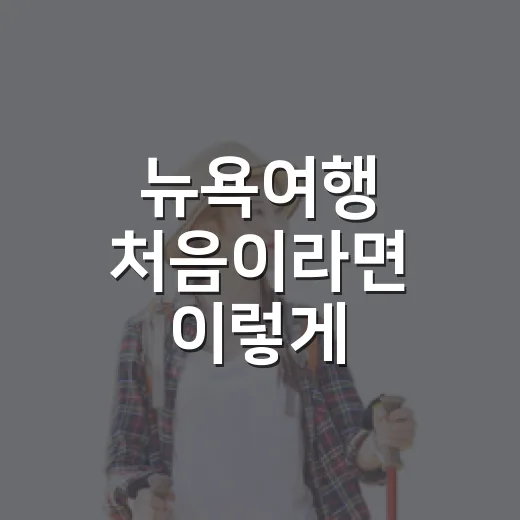 뉴욕여행 처음이라면 이렇게 준비하는 방법 - 요약