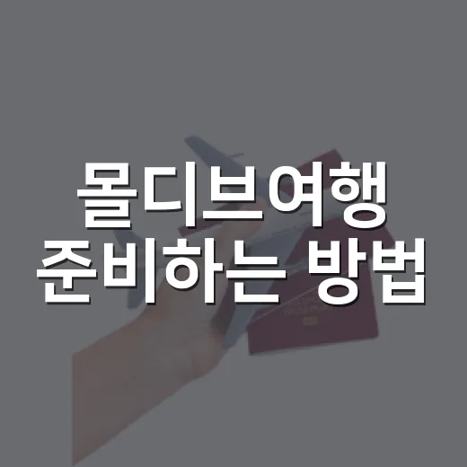 몰디브여행 준비하는 방법, 예산부터 섬 선택까지 이렇게 잡으면 편해요 - 요약