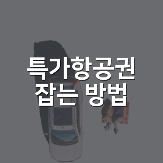 특가항공권 잡는 방법, 초보자도 놓치지 않게 보는 기준 - 요약