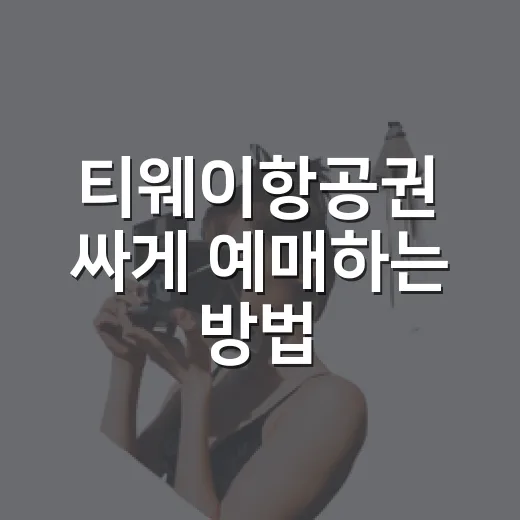 티웨이항공권 싸게 예매하는 방법, 초보자도 놓치기 쉬운 체크포인트 - 요약
