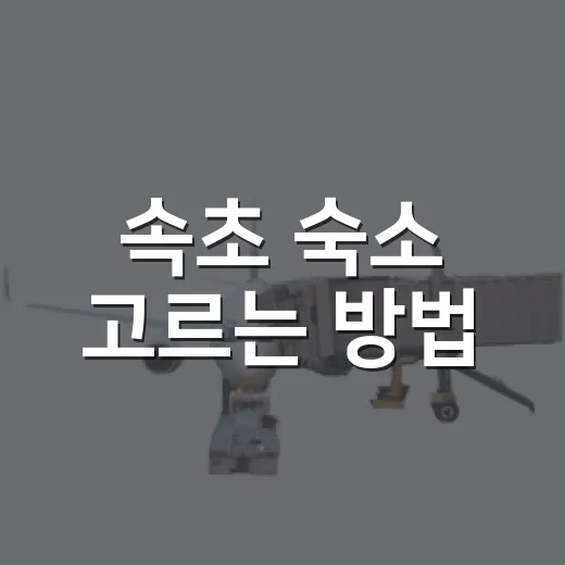 속초 숙소 고르는 방법, 바다뷰보다 먼저 봐야 할 위치 기준 - 요약