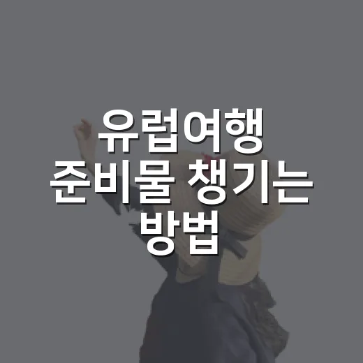 유럽여행 준비물 챙기는 방법, 초보자도 짐 줄이려면 이렇게 - 요약