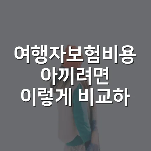 여행자보험비용 아끼려면 이렇게 비교하면 됩니다 - 요약