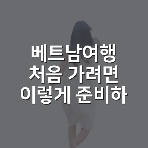 베트남여행 처음 가려면 이렇게 준비하면 편합니다 - 요약