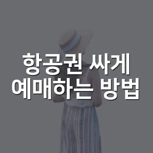 항공권 싸게 예매하는 방법, 초보자도 놓치기 쉬운 포인트 - 요약