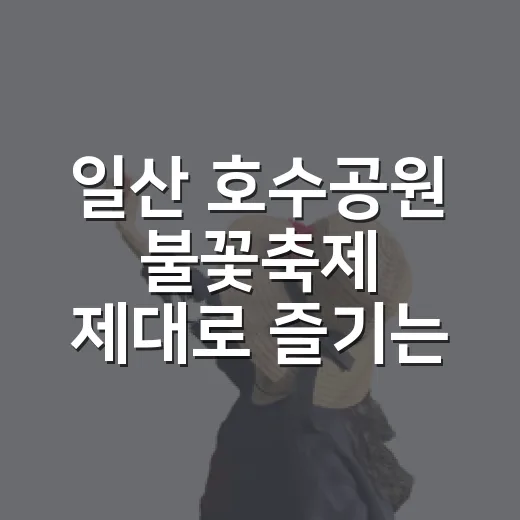 일산 호수공원 불꽃축제 제대로 즐기는 방법, 시간표부터 주차까지 - 요약