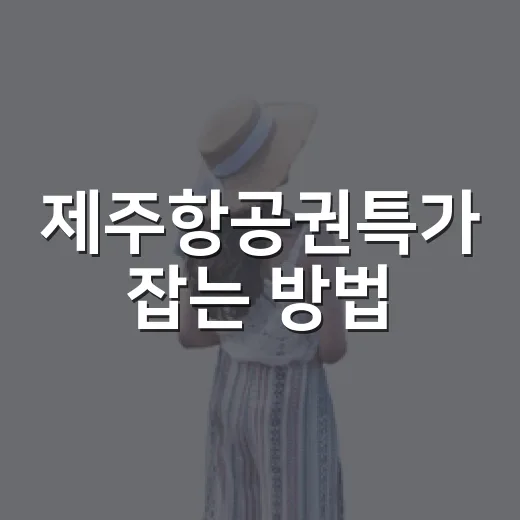 제주항공권특가 잡는 방법, 초보자도 가격 낮추는 예약 요령 - 요약