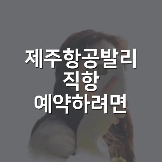 제주항공발리 직항 예약하려면 이렇게: 시간표, 수하물, 입국 준비 방법 - 요약