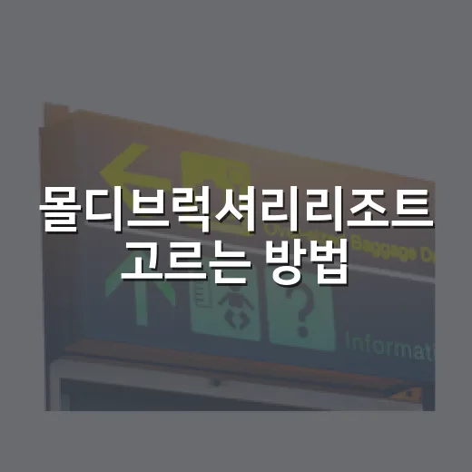 몰디브럭셔리리조트 고르는 방법, 예산 새는 포인트까지 챙기기 - 요약