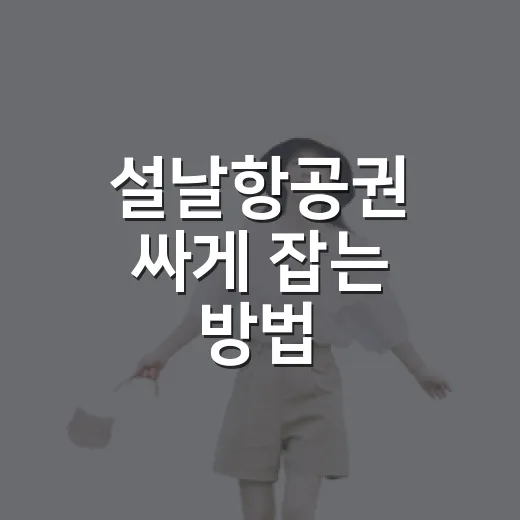 설날항공권 싸게 잡는 방법: 예매 시기부터 일정 고르는 법까지 - 요약