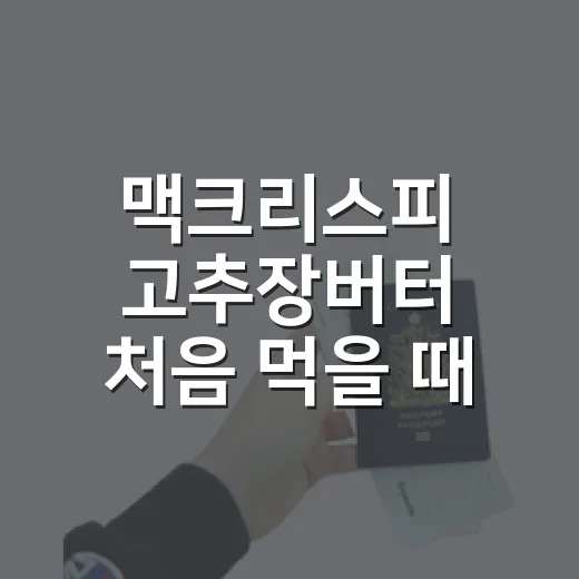 맥크리스피 고추장버터 처음 먹을 때 고르는 방법 - 요약