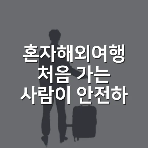 혼자해외여행 처음 가는 사람이 안전하게 준비하는 방법 - 요약